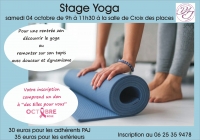 stage yoga de rentrée